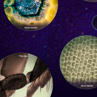 Pocket Microscope For Kids